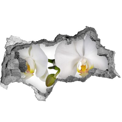 3D sticker gat in stenen muur Orchideeën in beton