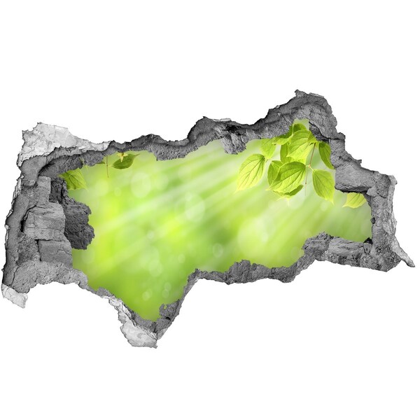 3D sticker gat in stenen muur Groen paradijs achter de muur