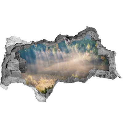 Wandsticker 3D doorkijk Boslandschap achter de muur