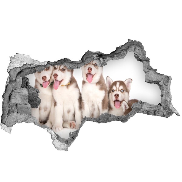 Dziura 3d fototapeta naklejka Szczenięta husky za dziurą w ścianie