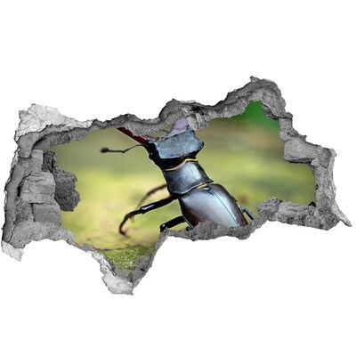 Dziura 3d fototapeta na ścianę Stwór z lasu