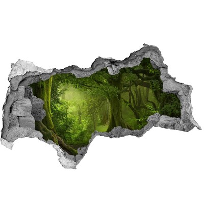 Dziura 3d w ścianie naklejka Zielony las pełen życia