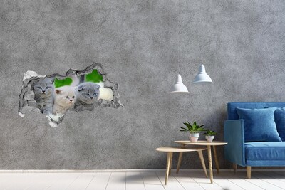 Zelfklevende 3D wandsticker illusie Kittens in een gat in de muur