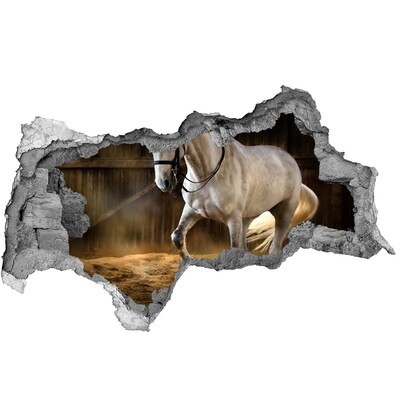 Dziura 3d fototapeta na ścianę Koń w stajni