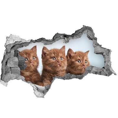 Wandsticker 3D doorkijk Kittens achter de muur