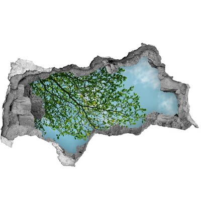 3D muursticker gescheurde muur Groene bladeren onder een blauwe hemel