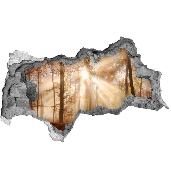 Dziura 3d w ścianie naklejka Leśna Przełęcz Słońca