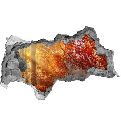 Wandsticker 3D doorkijk Gouden herfst in het bos