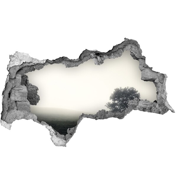 Zelfklevende 3D wandsticker illusie Een mistige open plek met een eenzame boom.