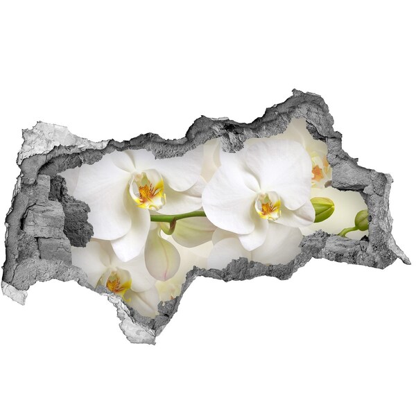 3D sticker gat in stenen muur Orchideeën in beton
