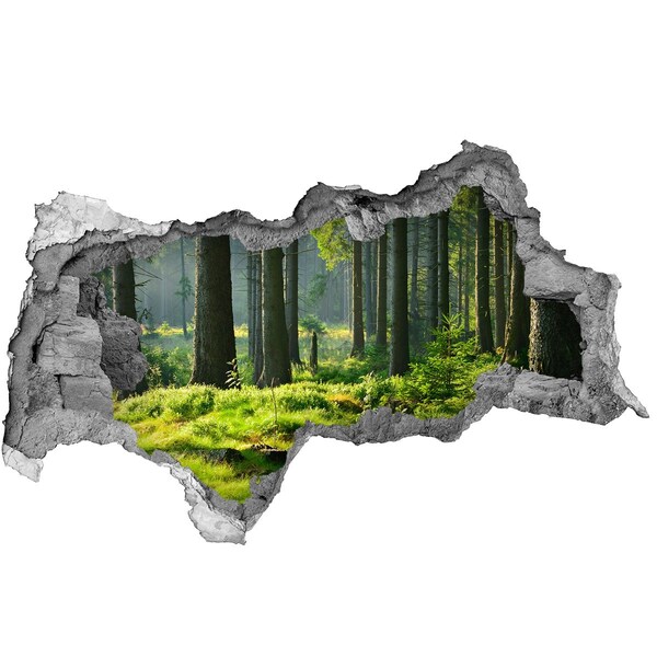 Wandsticker 3D doorkijk Groen bos in de zonnestralen