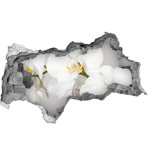 Wandsticker 3D doorkijk Bloemen in beton