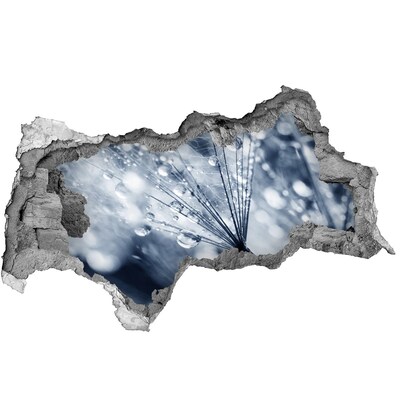 Samoprzylepna naklejka Krople rosy na dmuchawcu