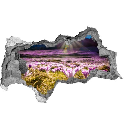 Dziura 3d w ścianie naklejka Kwiatowe pole w promieniach słońca