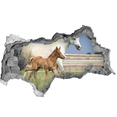 3D muursticker gescheurde muur Paarden in de wei