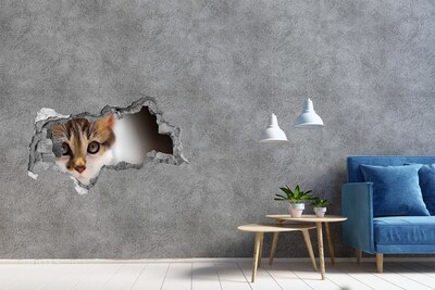 3D muursticker gescheurde muur Kat in een gat in de muur