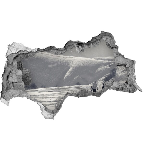 3D sticker gat in stenen muur Winters berglandschap