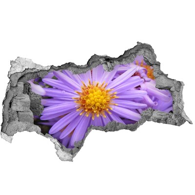 Samoprzylepna naklejka na ścianę fototapeta Kwiat w betonie