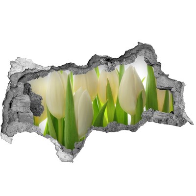 Zelfklevende 3D wandsticker illusie Tulpen in het daglicht