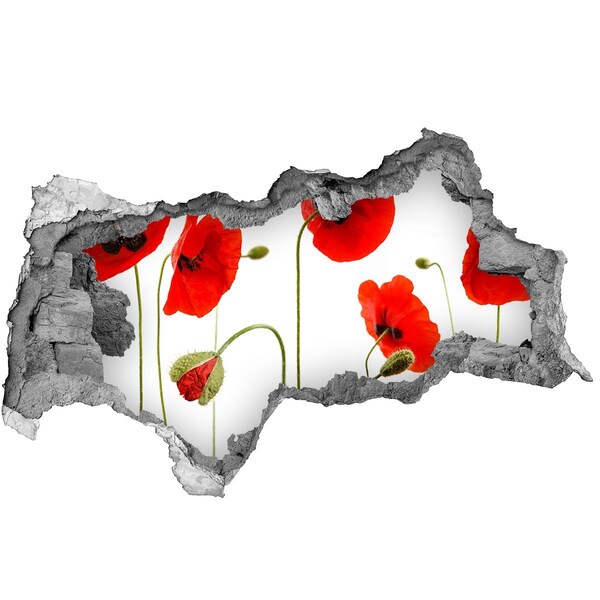 Zelfklevende 3D wandsticker illusie Klaprozen in een gat in de muur