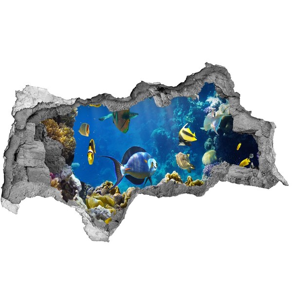 Fototapeta dziura na ścianę Podwodny świat rafy koralowej