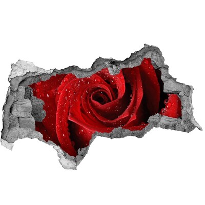 3D sticker gat in stenen muur Bloem in beton