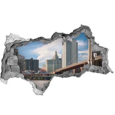 Fototapeta dziura na ścianę 3d Widok na Nowy Jork