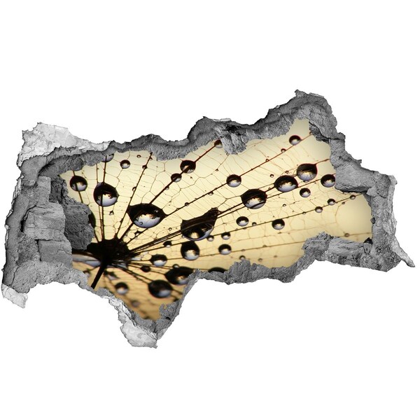 3D muursticker gescheurde muur Waterdruppels op een vlindervleugel