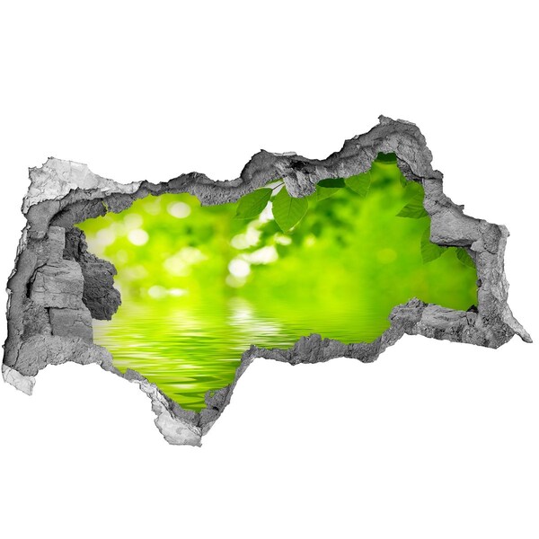 3D sticker gat in stenen muur Groene oase met water