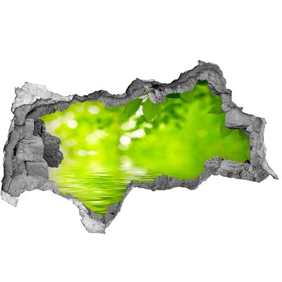 3D sticker gat in stenen muur Groene oase met water