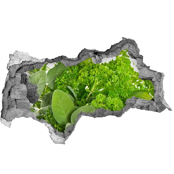 Wandsticker 3D doorkijk Een groene oase in beton.