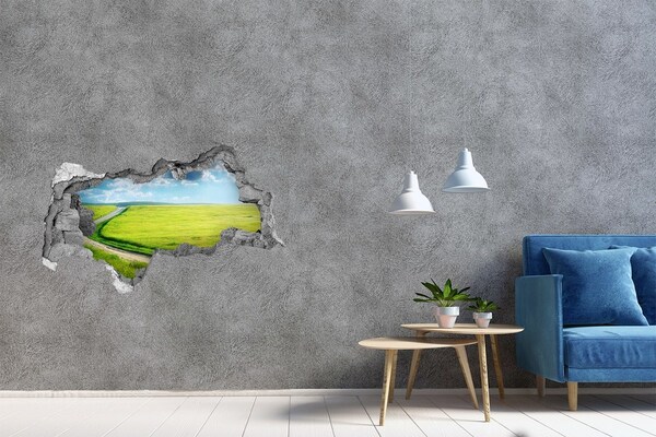 3D sticker gat in stenen muur Groene weide met de hemel