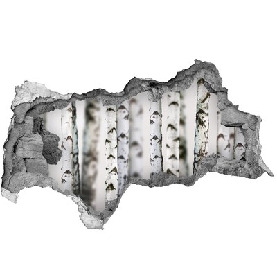 Wandsticker 3D doorkijk Een oase van bossen achter de muur