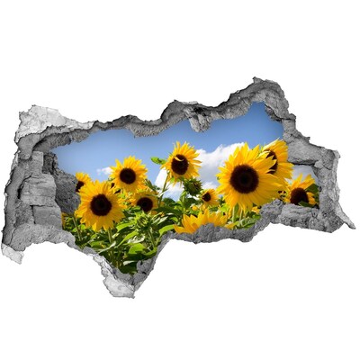Wandsticker 3D doorkijk Zonnebloemen bij daglicht