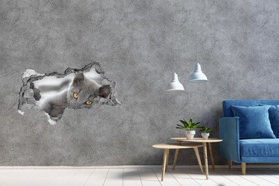 Zelfklevende 3D wandsticker illusie Grijze kat in een gat in de muur
