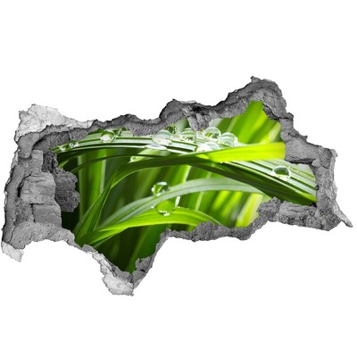 3D muursticker gescheurde muur Groene weide met waterdruppels
