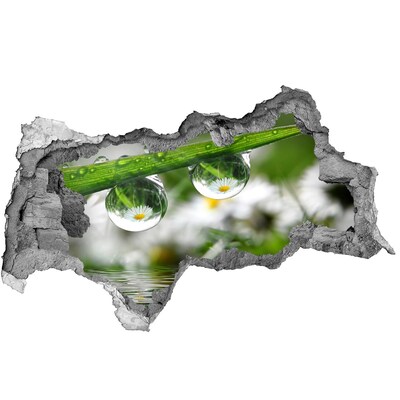 Samoprzylepna dziura naklejka Kwiatowa oaza z kroplami wody