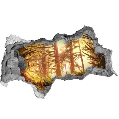 3D muursticker gescheurde muur Een oase in het bos, badend in de zon.