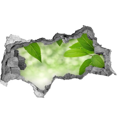 Samoprzylepna dziura naklejka Zielona oaza w betonie