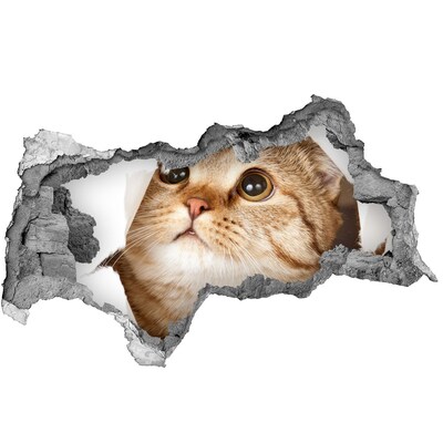 3D sticker gat in stenen muur Kat in een gat in de muur