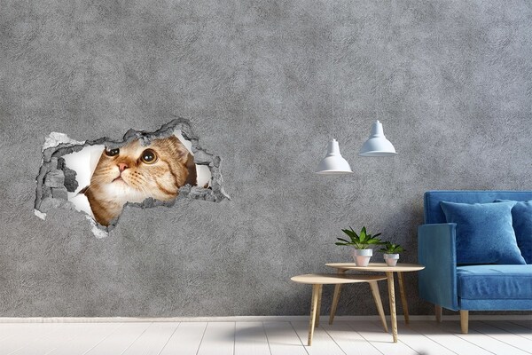 3D sticker gat in stenen muur Kat in een gat in de muur