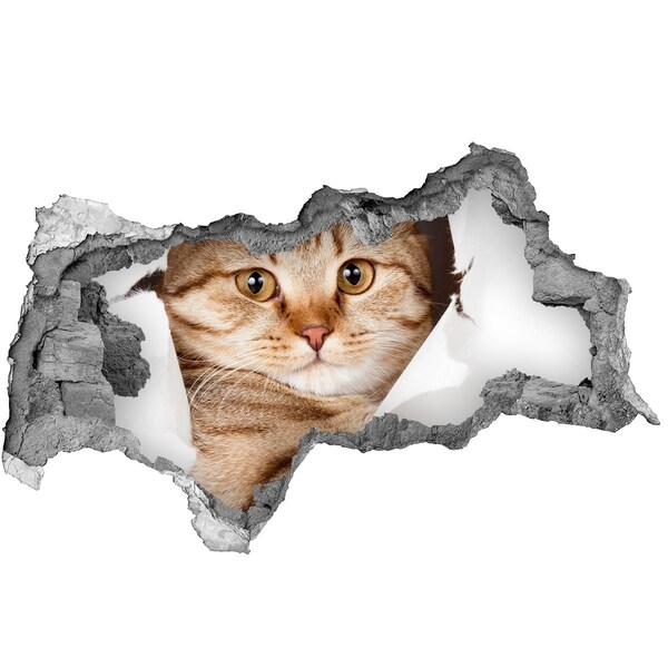 Zelfklevende 3D wandsticker illusie Kat in een gat in de muur