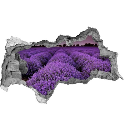 Wandsticker 3D doorkijk Een lavendelveld in volle bloei.