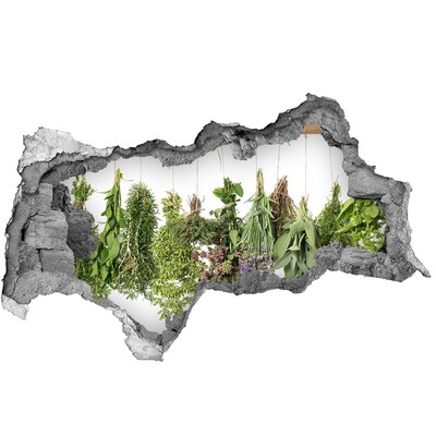 Zelfklevende 3D wandsticker illusie Kruidentuin door een gat in de muur
