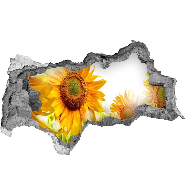 Samoprzylepna dziura naklejka Kwiatowe marzenie za ścianą