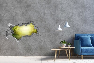 Wandsticker 3D doorkijk Groen bos in de zonnestralen