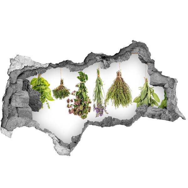 Naklejka dziura na ścianę beton Ziołowy kącik w kuchni