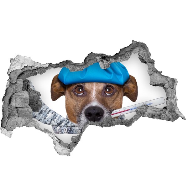 Zelfklevende 3D wandsticker illusie Zieke hond met een hoed