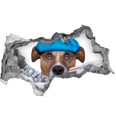 Zelfklevende 3D wandsticker illusie Zieke hond met een hoed