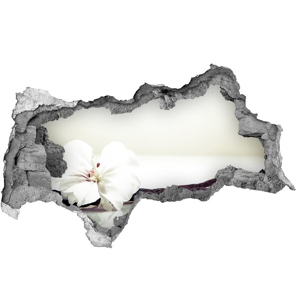 Samoprzylepna dziura naklejka Kwiatowy widok przez ścianę